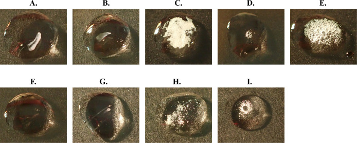 Self-cloning of the Catalase Gene in Environmental Isolates Improves Their Colony-forming Abilities on Agar Media.