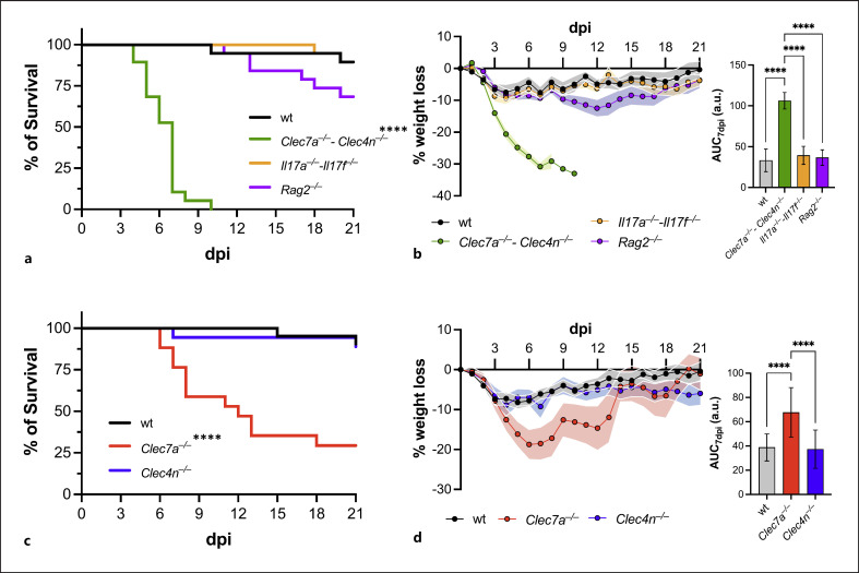 Dectin-1/IL-15 Pathway Affords Protection against Extrapulmonary Aspergillus fumigatus Infection by Regulating Natural Killer Cell Survival.