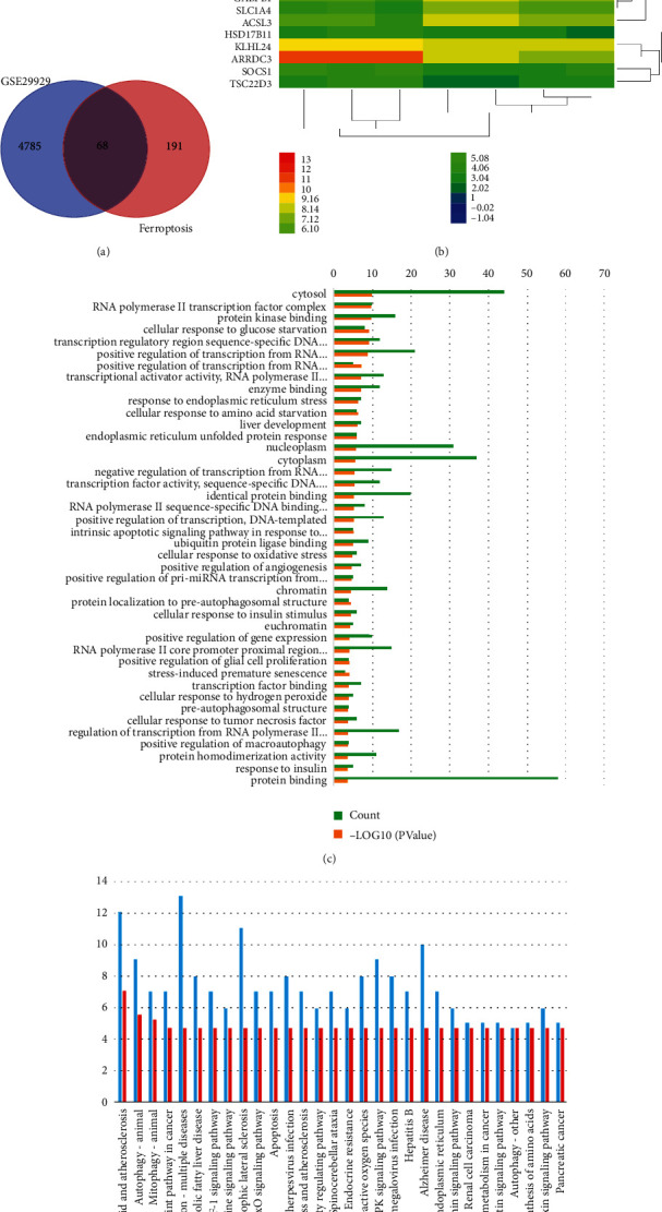 Bioinformatics Analysis of Molecular Interactions between Endoplasmic Reticulum Stress and Ferroptosis under Stress Exposure.