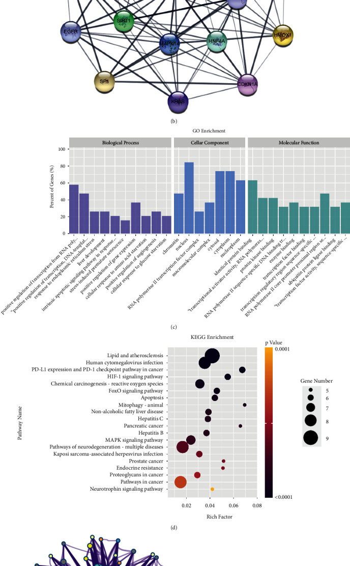 Bioinformatics Analysis of Molecular Interactions between Endoplasmic Reticulum Stress and Ferroptosis under Stress Exposure.