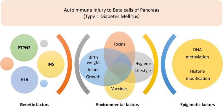 Pediatric Diabetes and Diabetic Ketoacidosis After COVID-19: Challenges Faced and Lessons Learnt.