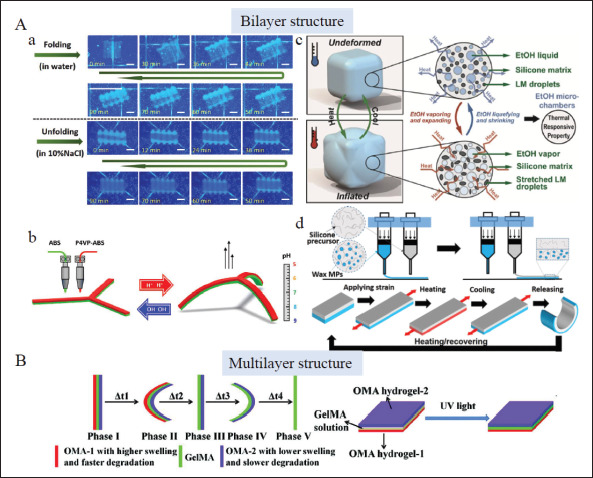 Smart implants: 4D-printed shape-morphing scaffolds for medical implantation.