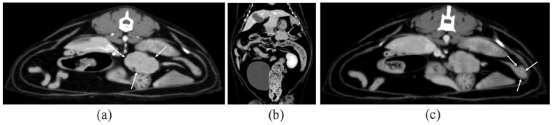 Laparoscopic partial pancreatectomy in a cat with exocrine pancreatic carcinoma.