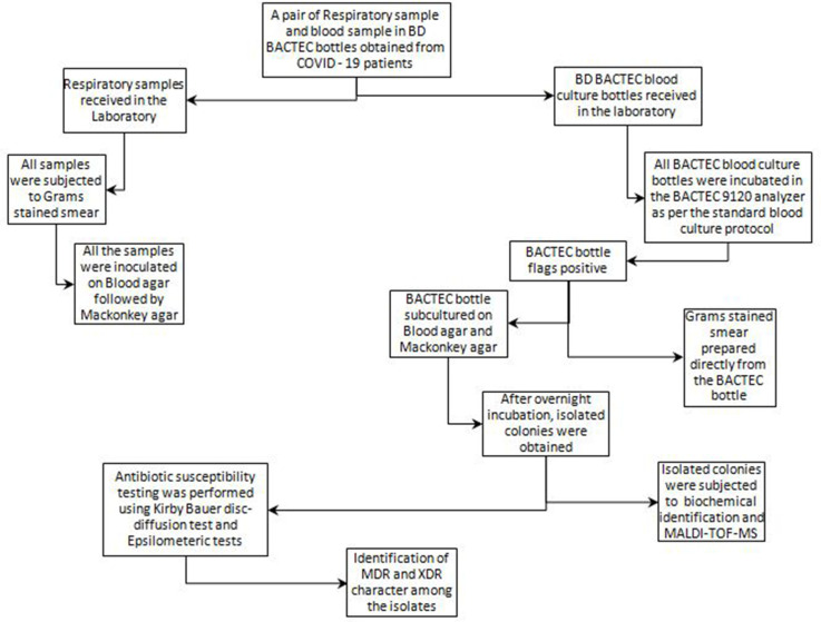 Respiratory bacterial co-infections and their antibiotic resistance pattern in COVID-19 patients at a tertiary care centre in India.
