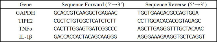 TIPE2 regulates periodontal inflammation by inhibiting NF-κB p65 phosphorylation.