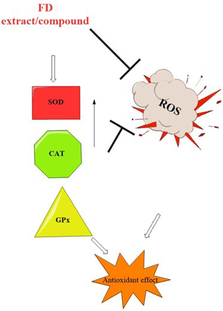 Crude extract of <i>Ficus deltoidea</i> Jack (FD) as a natural biological therapy.