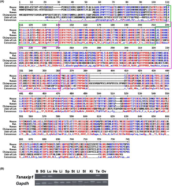 TSNAXIP1 is required for sperm head formation and male fertility.