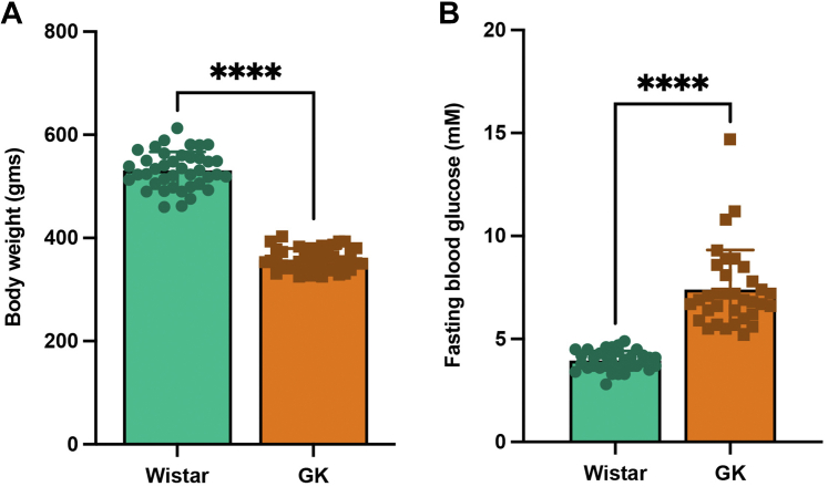 Transcriptomic and physiological analyses reveal temporal changes contributing to the delayed healing response to arterial injury in diabetic rats