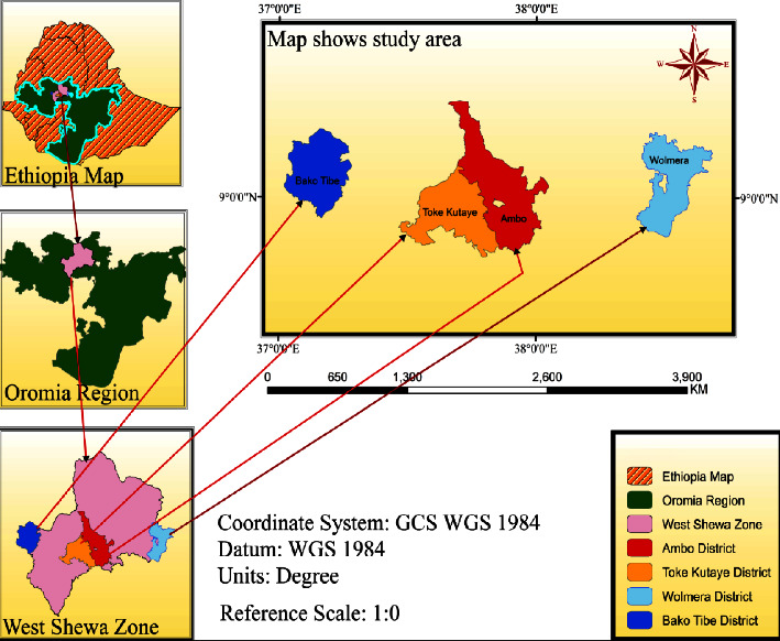 Isolation and Determination of Antibacterial Sensitivity Characteristics of <i>Staphylococcus aureus</i> from Lactating Cows in West Shewa Zone, Ethiopia.