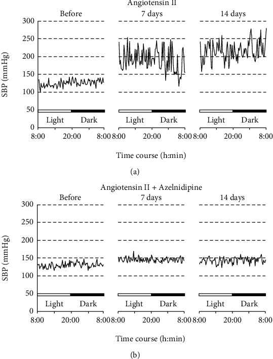 Analysis of Mechanisms for Increased Blood Pressure Variability in Rats Continuously Infused with Angiotensin II.