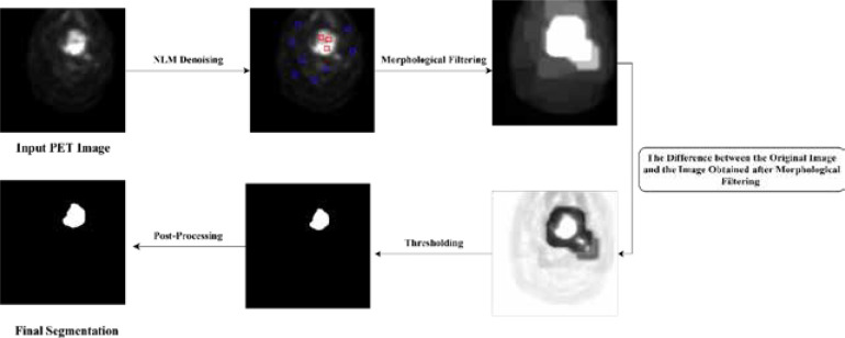 Auto-segmentation of head and neck tumors in positron emission tomography images using non-local means and morphological frameworks.