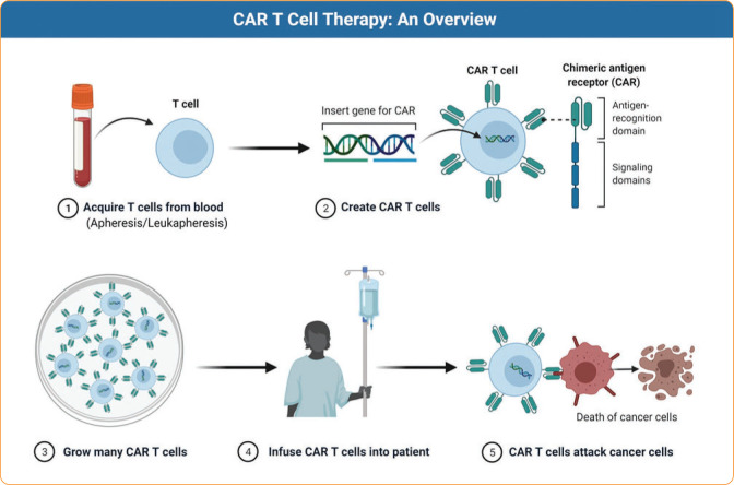 The Role of the Research Advanced Practice Provider in CAR T-Cell Clinical Trials.