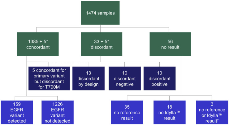 FACILITATE: A real-world, multicenter, prospective study investigating the utility of a rapid, fully automated real-time PCR assay versus local reference methods for detecting epidermal growth factor receptor variants in NSCLC.