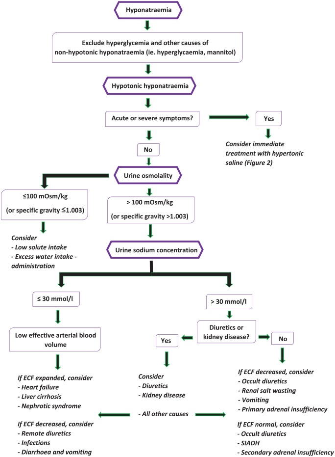 A step-by-step guide for the diagnosis and management of hyponatraemia in patients with stroke.