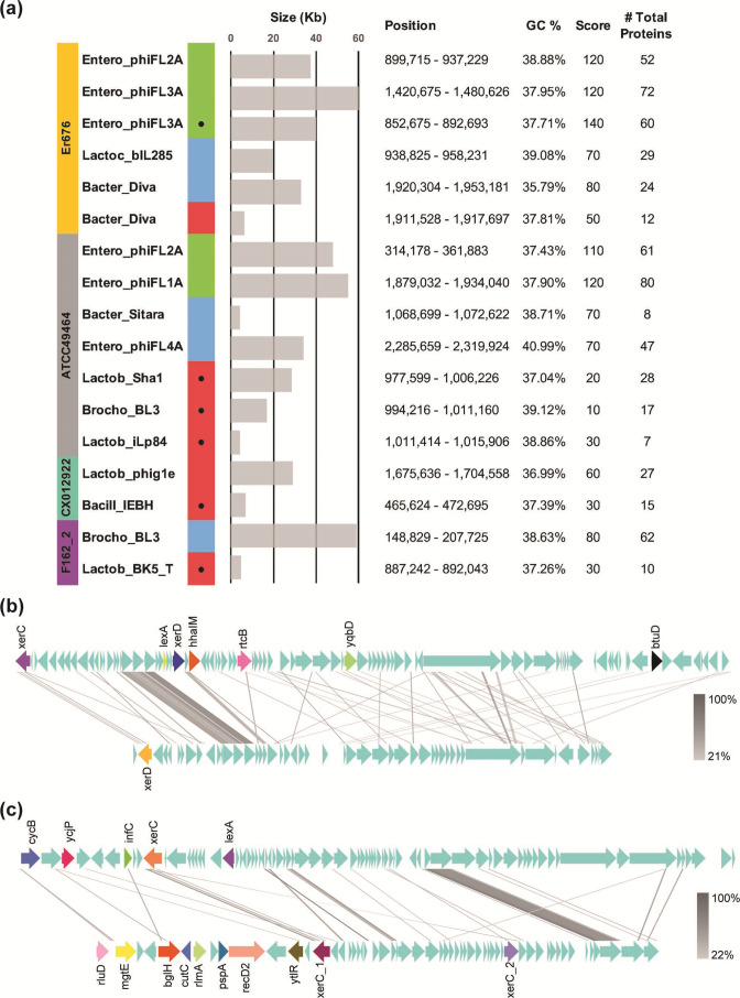 Inter-species diversity and functional genomic analyses of closed genome assemblies of clinically isolated, megaplasmid-containing <i>Enterococcus raffinosus</i> Er676 and ATCC49464.