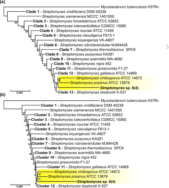 Whole-genome sequencing-based characterization of <i>Streptomyces</i> sp. 6(4): focus on natural product.