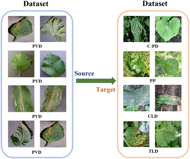 From Laboratory to Field: Unsupervised Domain Adaptation for Plant Disease Recognition in the Wild.