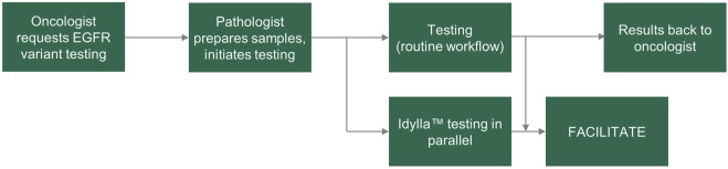 FACILITATE: A real-world, multicenter, prospective study investigating the utility of a rapid, fully automated real-time PCR assay versus local reference methods for detecting epidermal growth factor receptor variants in NSCLC.