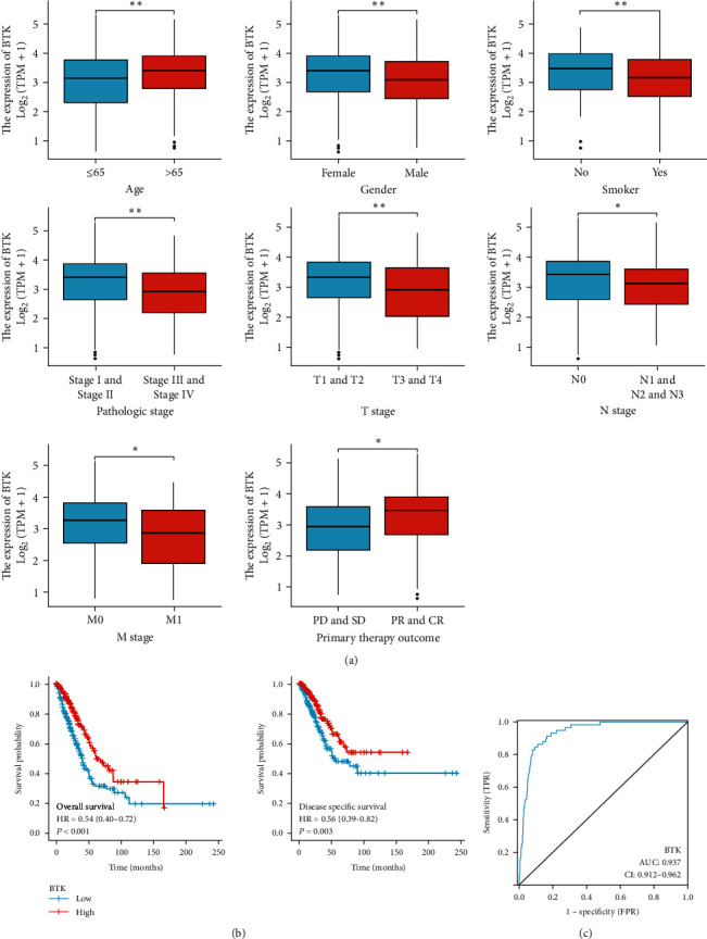 Overexpression of Bruton Tyrosine Kinase Inhibits the Proliferation, Migration, and Invasion of Non-Small Cell Lung Cancer Cells.