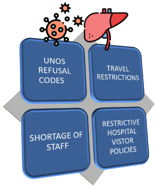 The impact of COVID-19 on liver transplantation: challenges and perspectives.