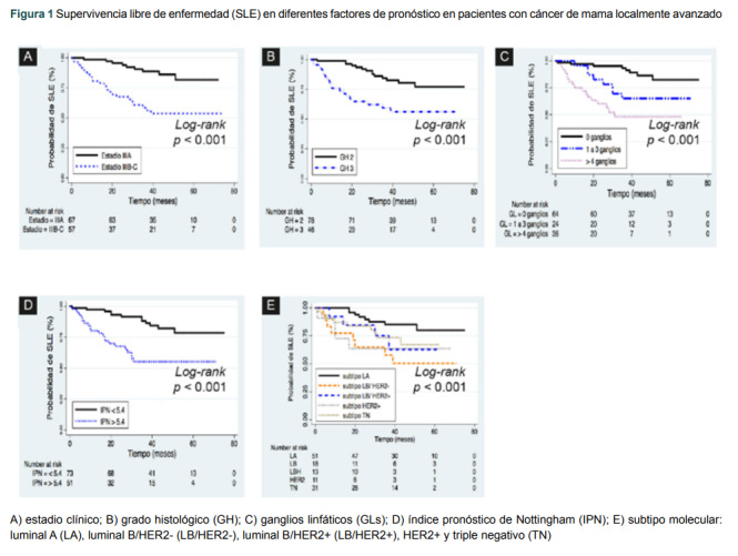 [Associating prognostic factors with clinical results in locally advanced breast cancer].