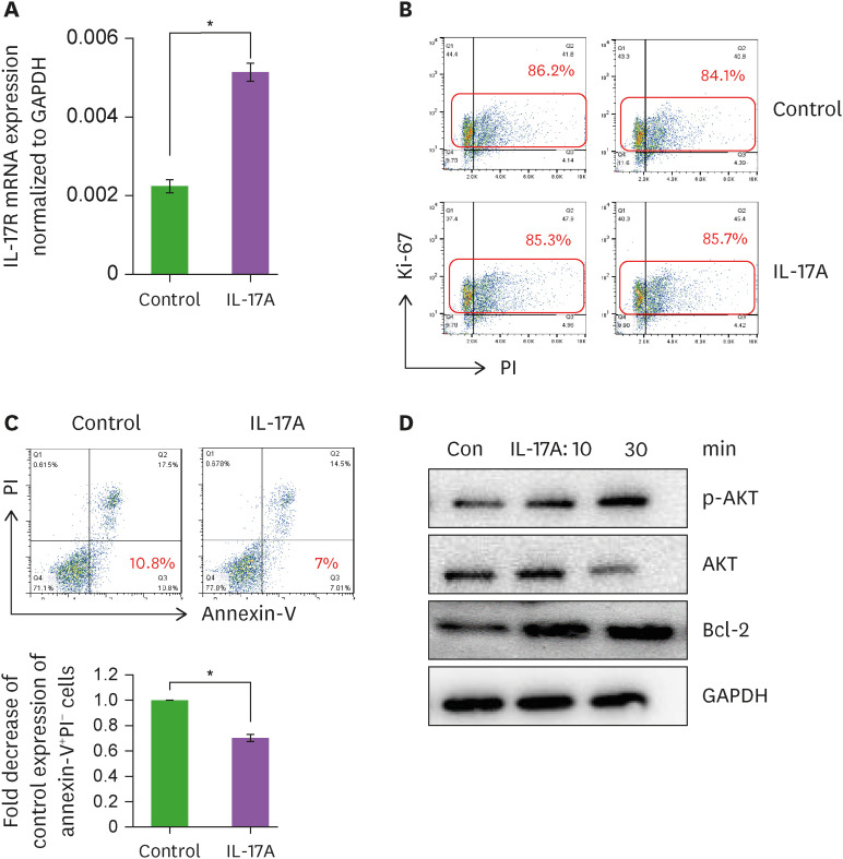 IL-17A and Th17 Cells Contribute to Endometrial Cell Survival by Inhibiting Apoptosis and NK Cell Mediated Cytotoxicity of Endometrial Cells via ERK1/2 Pathway.