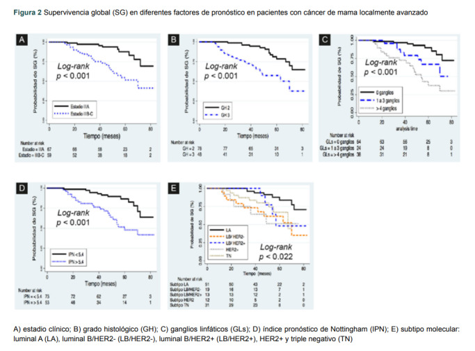 [Associating prognostic factors with clinical results in locally advanced breast cancer].