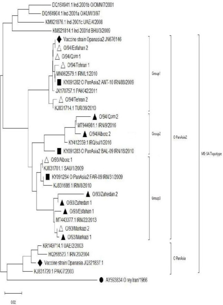 Molecular detection, genetic diversity, and phylogenetic analysis of foot-and-mouth disease virus (FMDV) type O in Iran during 2015-2016.