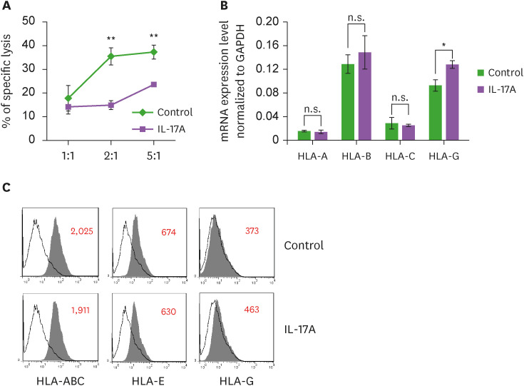 IL-17A and Th17 Cells Contribute to Endometrial Cell Survival by Inhibiting Apoptosis and NK Cell Mediated Cytotoxicity of Endometrial Cells via ERK1/2 Pathway.