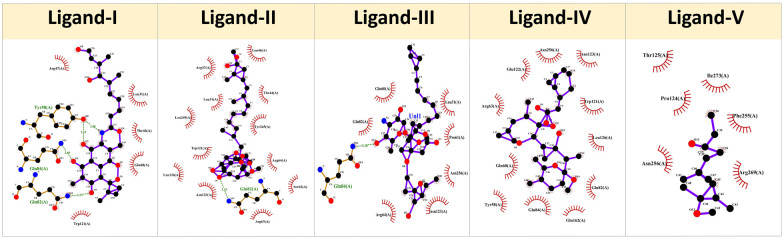 Identification of Putative Drug Targets in Highly Resistant Gram-Negative Bacteria; and Drug Discovery Against Glycyl-tRNA Synthetase as a New Target.