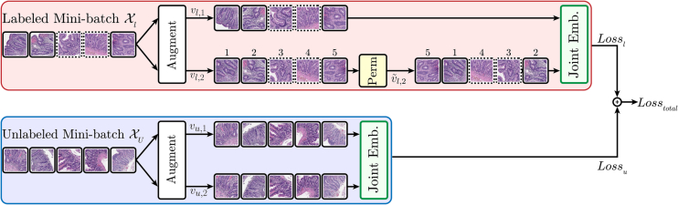 HistoPerm: A permutation-based view generation approach for improving histopathologic feature representation learning