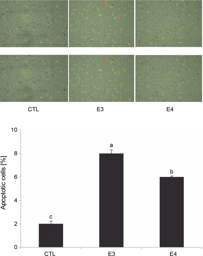 Exploring the potential of <i>Inula viscosa</i> extracts for antioxidant, antiproliferative and apoptotic effects on human liver cancer cells and a molecular docking study.