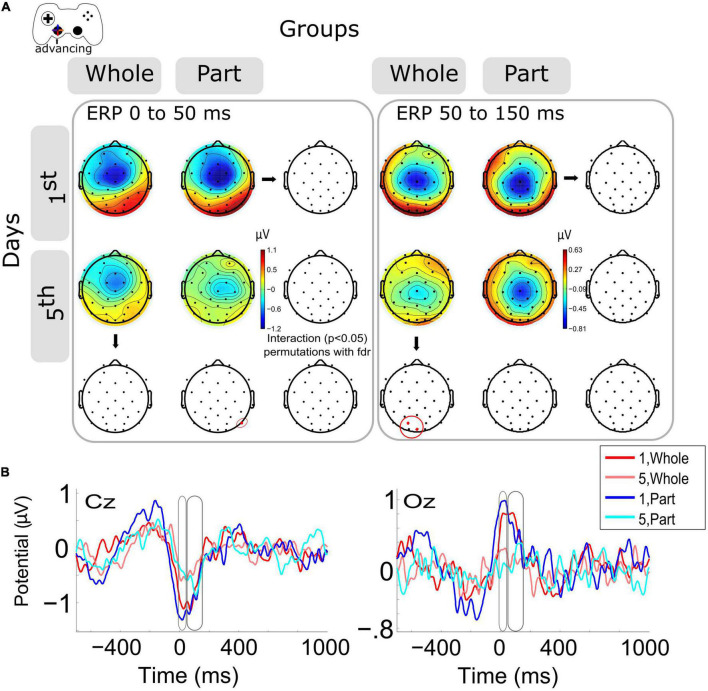 Event-related (de)synchronization and potential in whole vs. part sensorimotor learning.