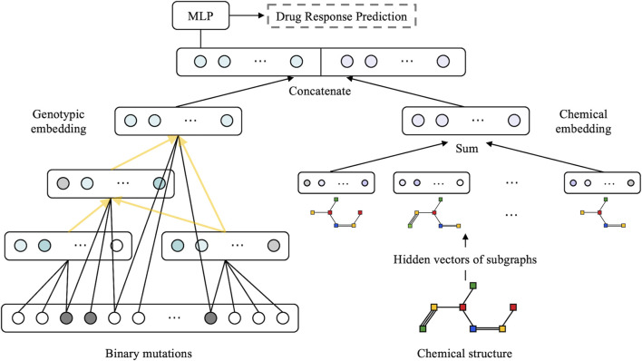 XMR: an explainable multimodal neural network for drug response prediction.