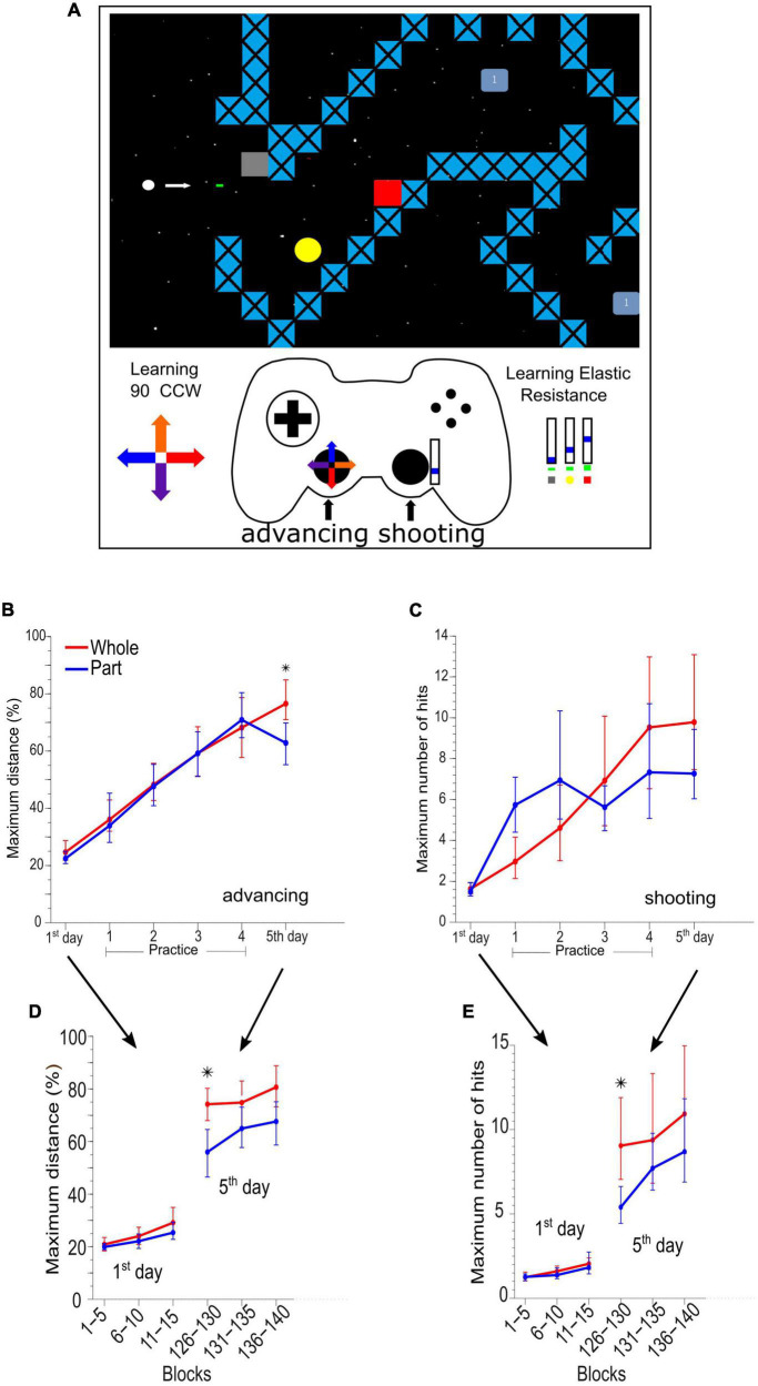 Event-related (de)synchronization and potential in whole vs. part sensorimotor learning.