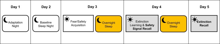 Protocol for a randomized controlled study examining the role of rapid eye movement sleep in fear-related mechanisms: rapid eye movement fragmentation and fear inhibition in adults with insomnia disorders before and after cognitive behavioral therapy for insomnia.