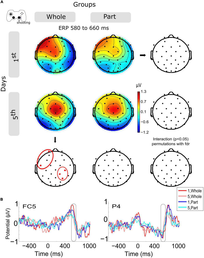 Event-related (de)synchronization and potential in whole vs. part sensorimotor learning.