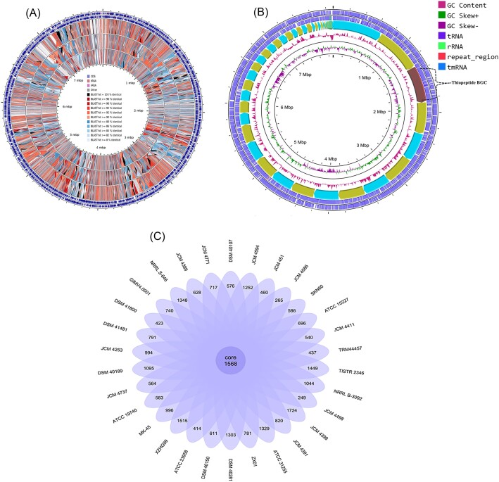 An antimicrobial thiopeptide producing novel actinomycetes <i>Streptomyces terrae</i> sp. nov., isolated from subsurface soil of arable land.