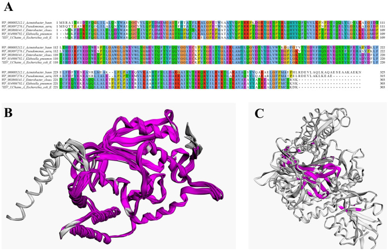 Identification of Putative Drug Targets in Highly Resistant Gram-Negative Bacteria; and Drug Discovery Against Glycyl-tRNA Synthetase as a New Target.