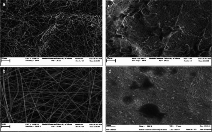 Toxicity and autophagy effects of fluorinated cycloplatinated(II) complex bearing dppm ligand on cancer cells in <i>in-vitro</i> culture and <i>in-silico</i> prediction.