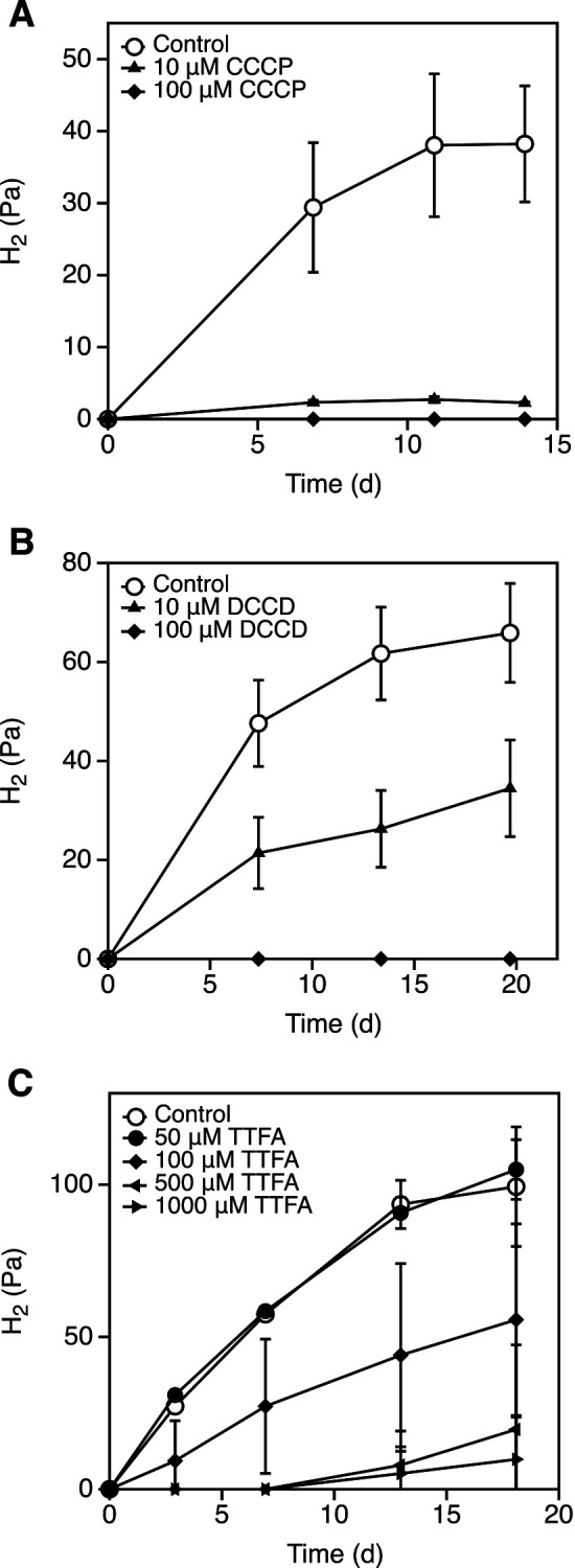 Membrane Potential-requiring Succinate Dehydrogenase Constitutes the Key to Propionate Oxidation and Is Unique to Syntrophic Propionate-oxidizing Bacteria.