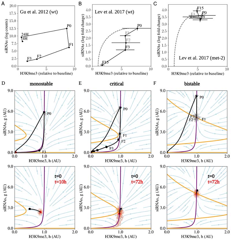 Epigenetic inheritance of gene silencing is maintained by a self-tuning mechanism based on resource competition.