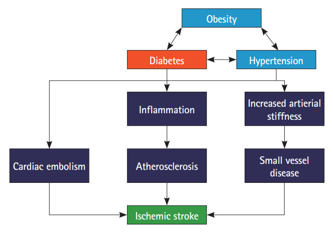 Diabetes and Stroke: What Are the Connections?