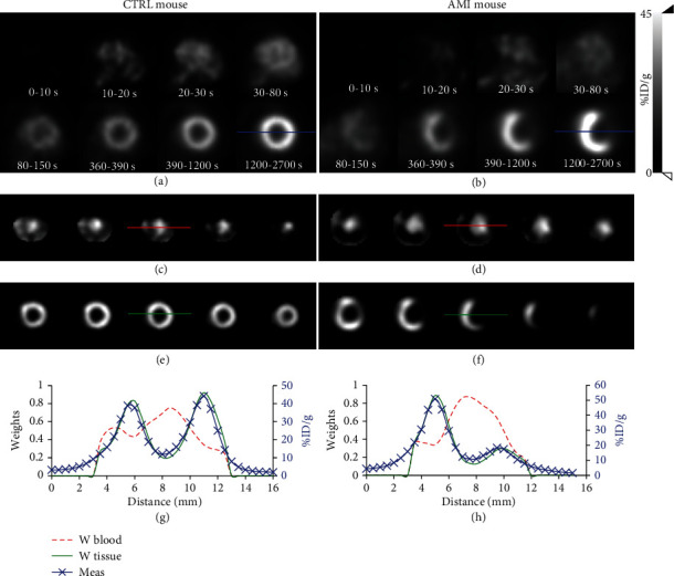 Enhanced Extraction of Blood and Tissue Time-Activity Curves in Cardiac Mouse FDG PET Imaging by Means of Constrained Nonnegative Matrix Factorization.