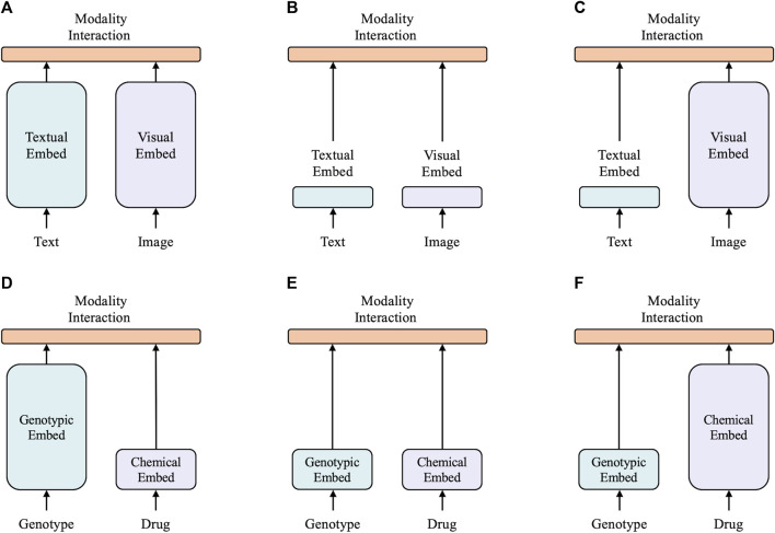 XMR: an explainable multimodal neural network for drug response prediction.