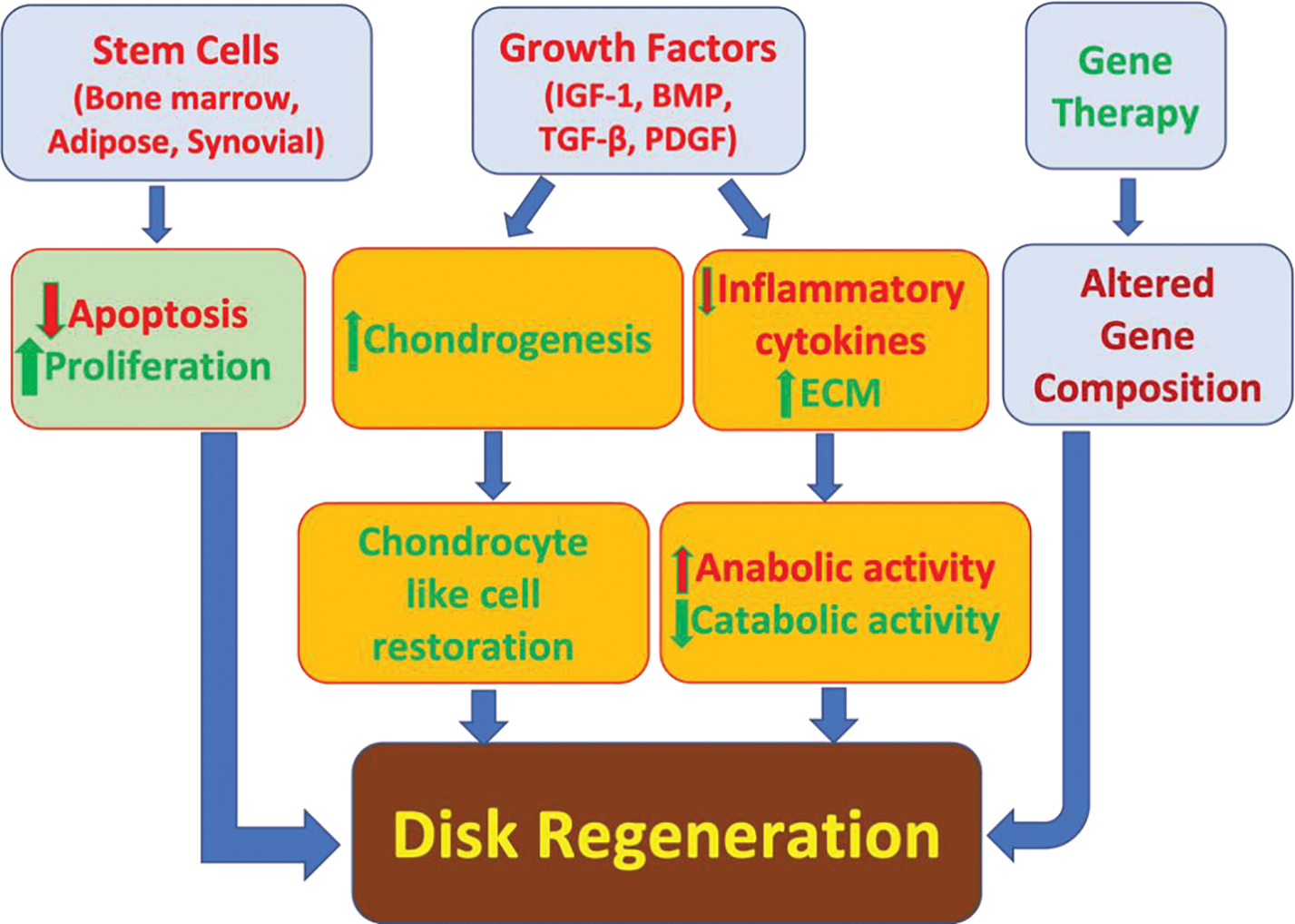 Mechanobiology of MicroRNAs in Intervertebral Disk Degeneration.