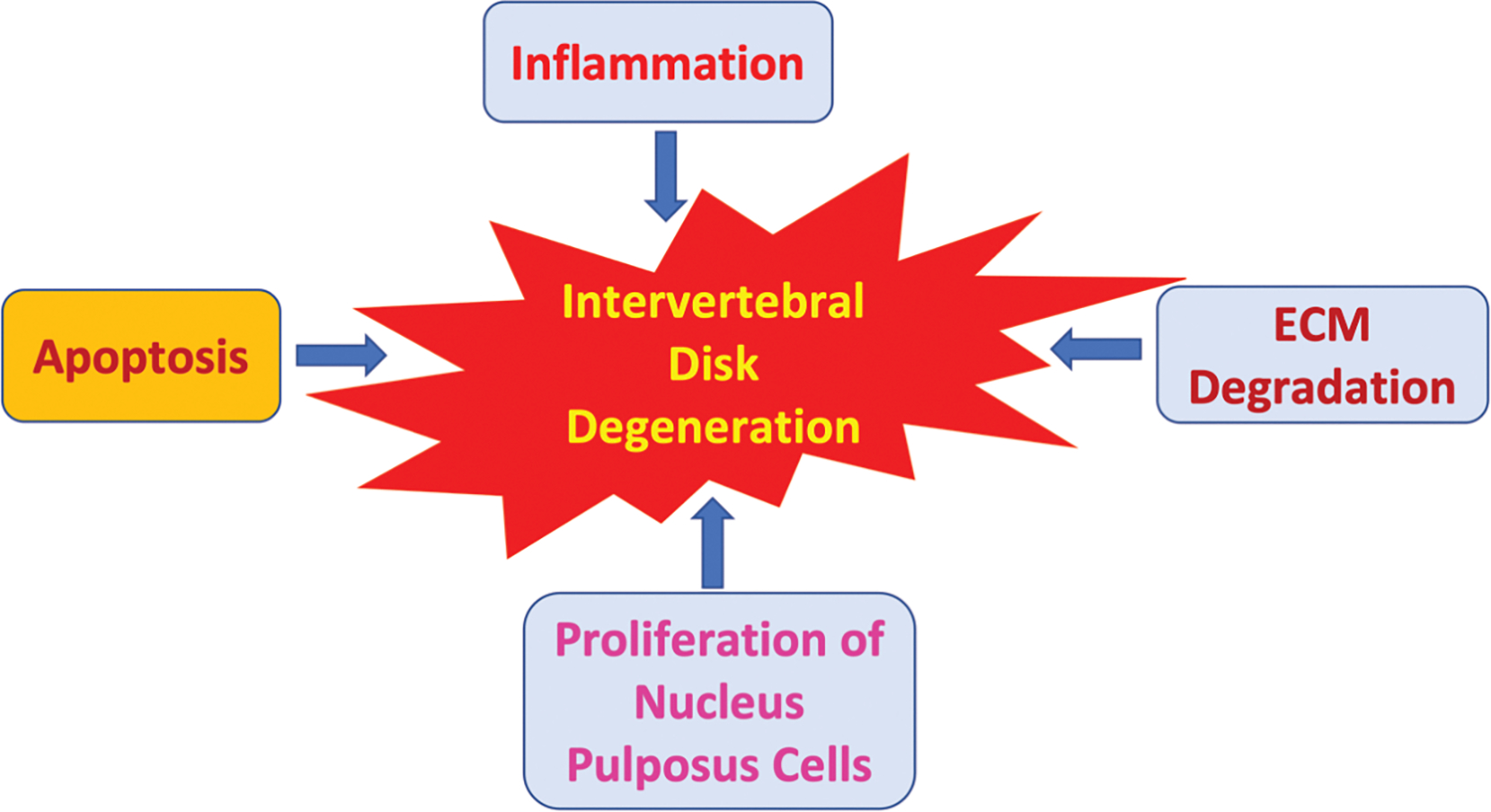 Mechanobiology of MicroRNAs in Intervertebral Disk Degeneration.