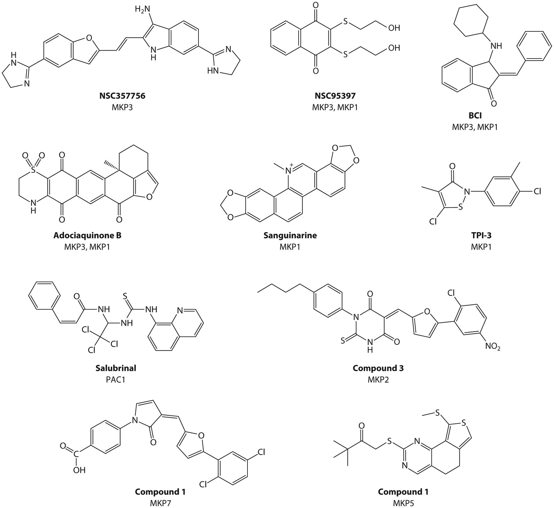 Mitogen-Activated Protein Kinase Phosphatases: No Longer Undruggable?