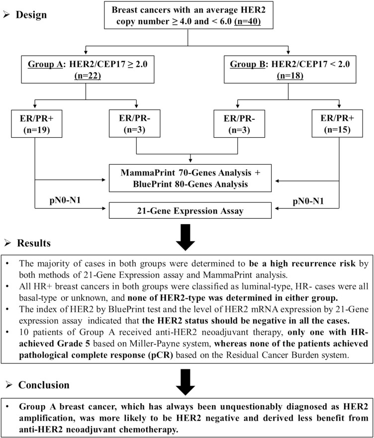 Invasive Breast Cancer with HER2 ≥4.0 and <6.0: Risk Classification and Molecular Typing by a 21-Gene Expression Assay and MammaPrint Plus BluePrint Testing.