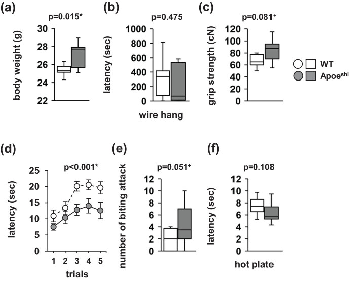 Comprehensive behavioral study of C57BL/6.KOR-ApoE<sup>shl</sup> mice.